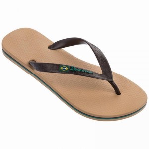 Beige / Brown Ipanema Classic Brazil II Men's Flip Flops | WV5619874