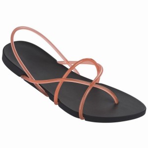 Black / Pink Ipanema Philippe Starck Thing G Women's Sandals | WQ6198047