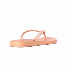 Brown Ipanema Ana Lovely X Women's Flip Flops | OS7624813