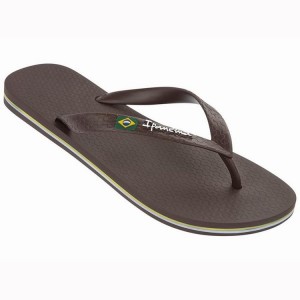 Brown Ipanema Classic Brazil II Men's Flip Flops | TW4895732