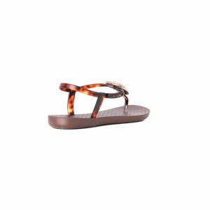 Brown / Gold Ipanema Leaf Women's Sandals | CB7420819