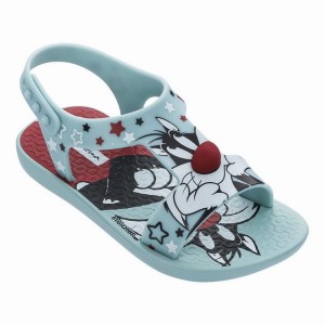 Green / Red Ipanema Looney Tunes Baby Sandals | GZ6039274