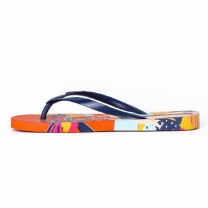 Orange / Blue Ipanema I Love Sun Women's Flip Flops | EO9167504