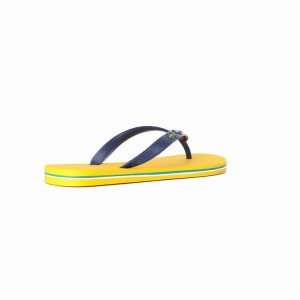 Yellow / Blue Ipanema Classic Brazil II Men's Flip Flops | AF9064381