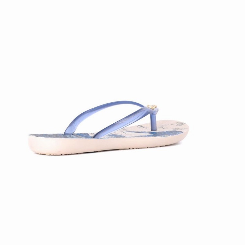 Beige / Blue Ipanema Wave Natural Women\'s Flip Flops | XN2718963