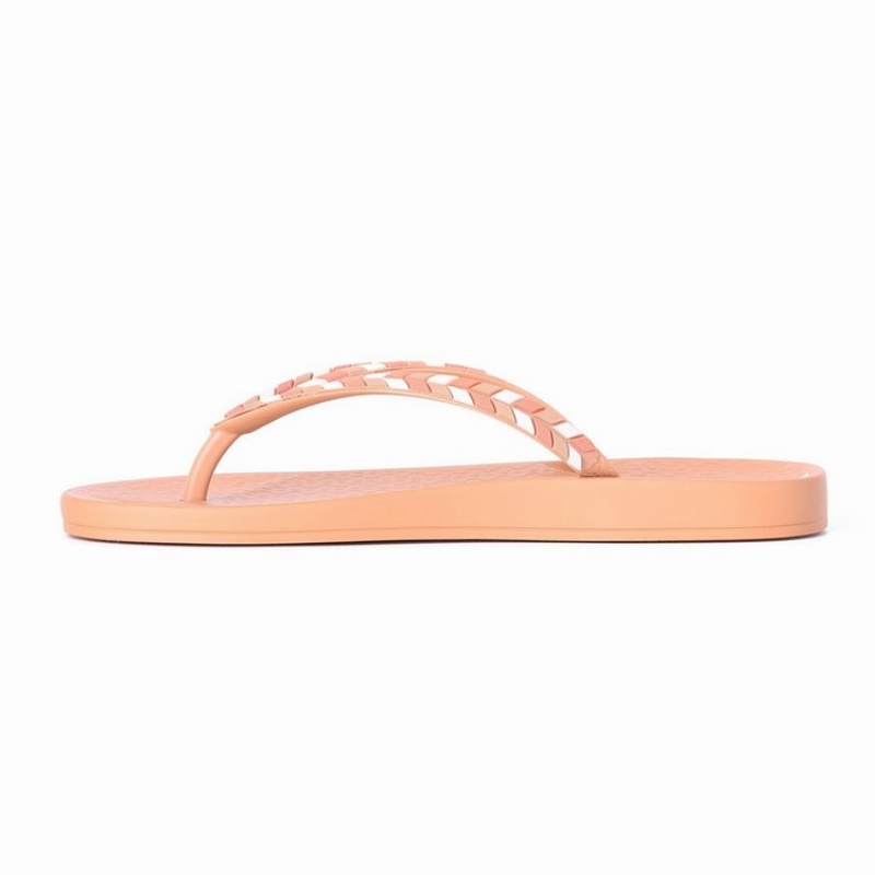 Brown Ipanema Ana Lovely X Women's Flip Flops | OS7624813