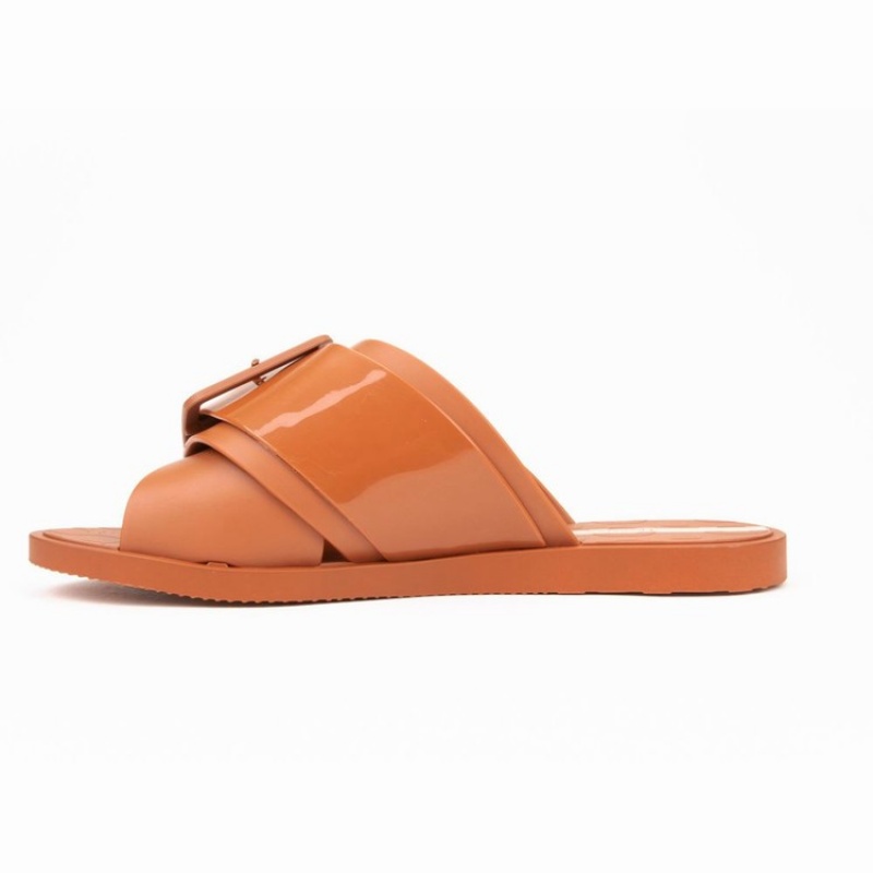 Brown Ipanema Free Women's Sandals | NA6312794