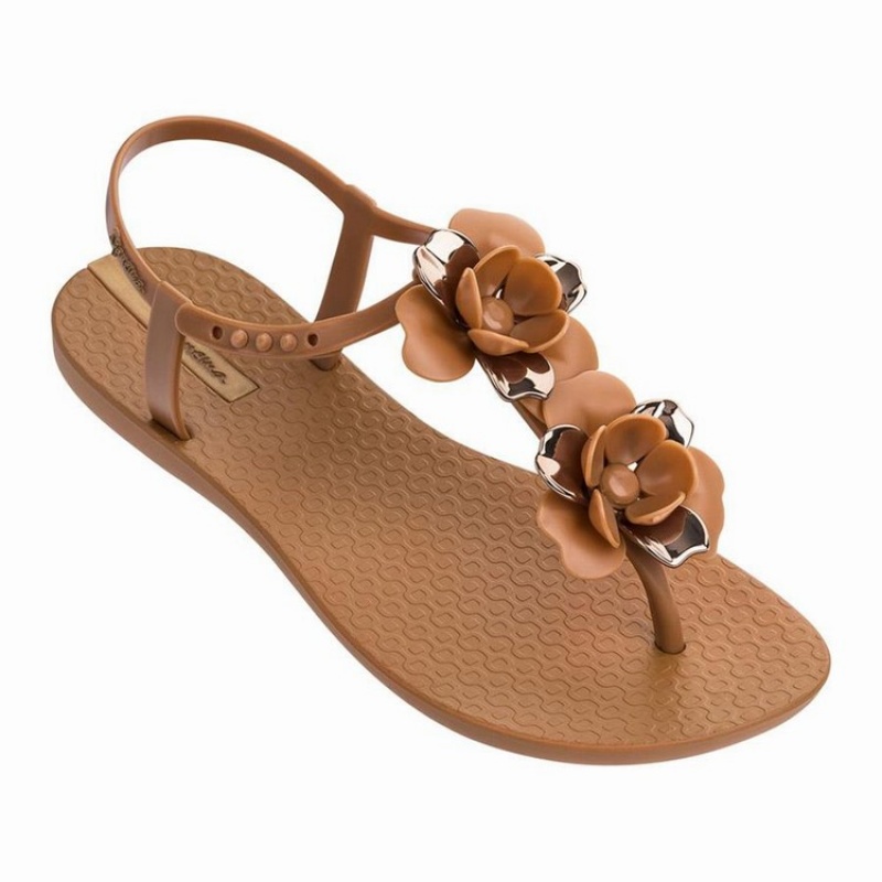 Brown / Gold Ipanema Floret Women's Sandals | FD3607492