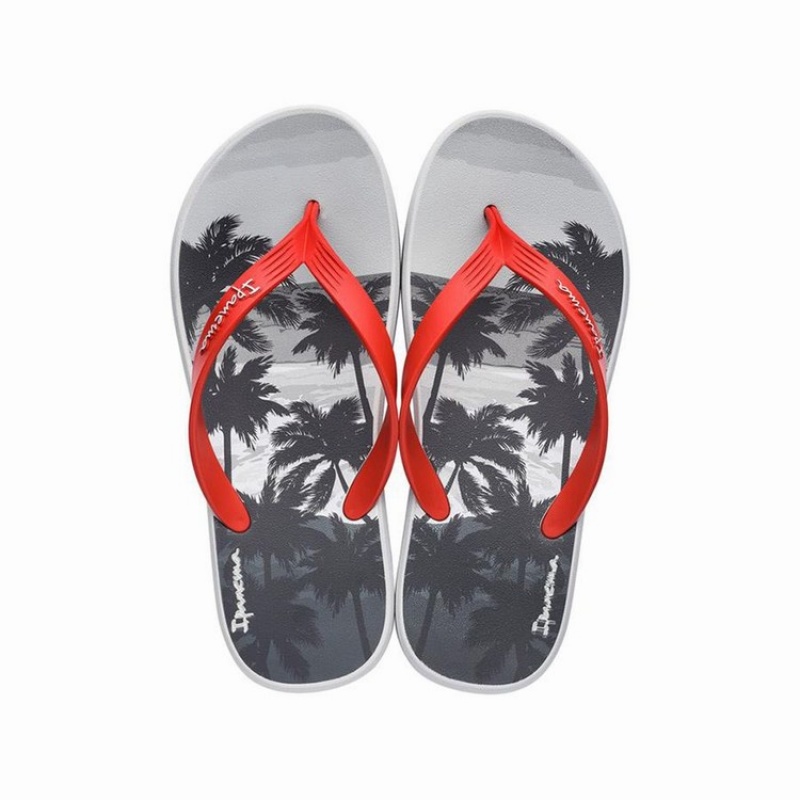 Grey / Red Ipanema 10 Palm Men's Flip Flops | KT7209846