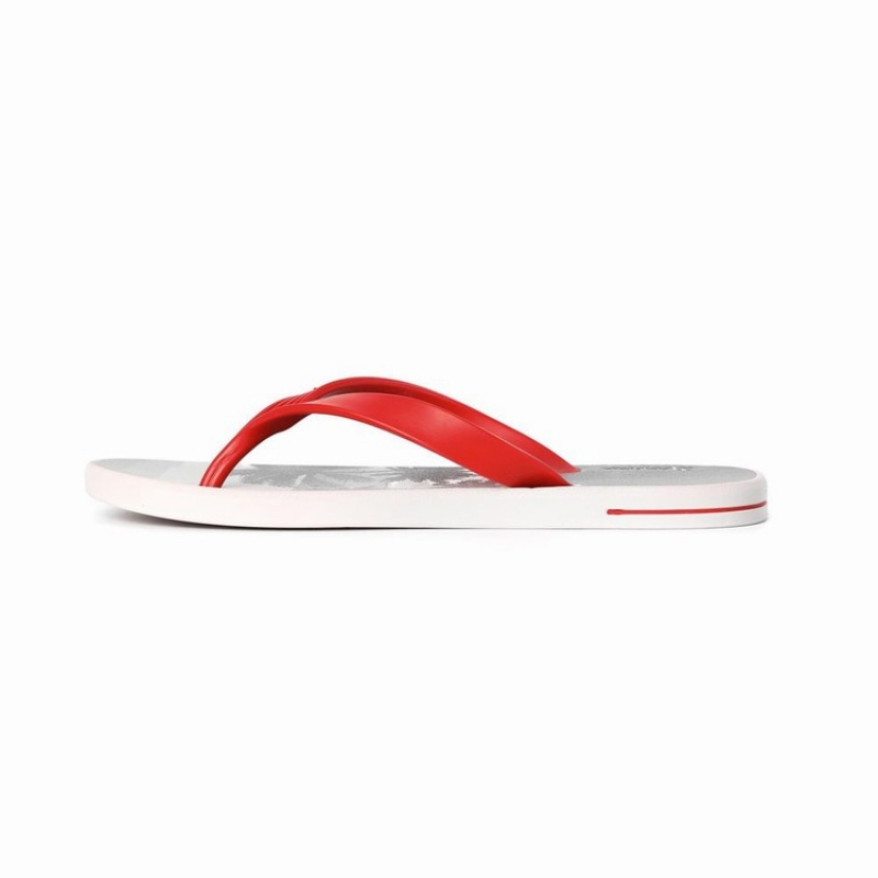 Grey / Red Ipanema 10 Palm Men's Flip Flops | KT7209846